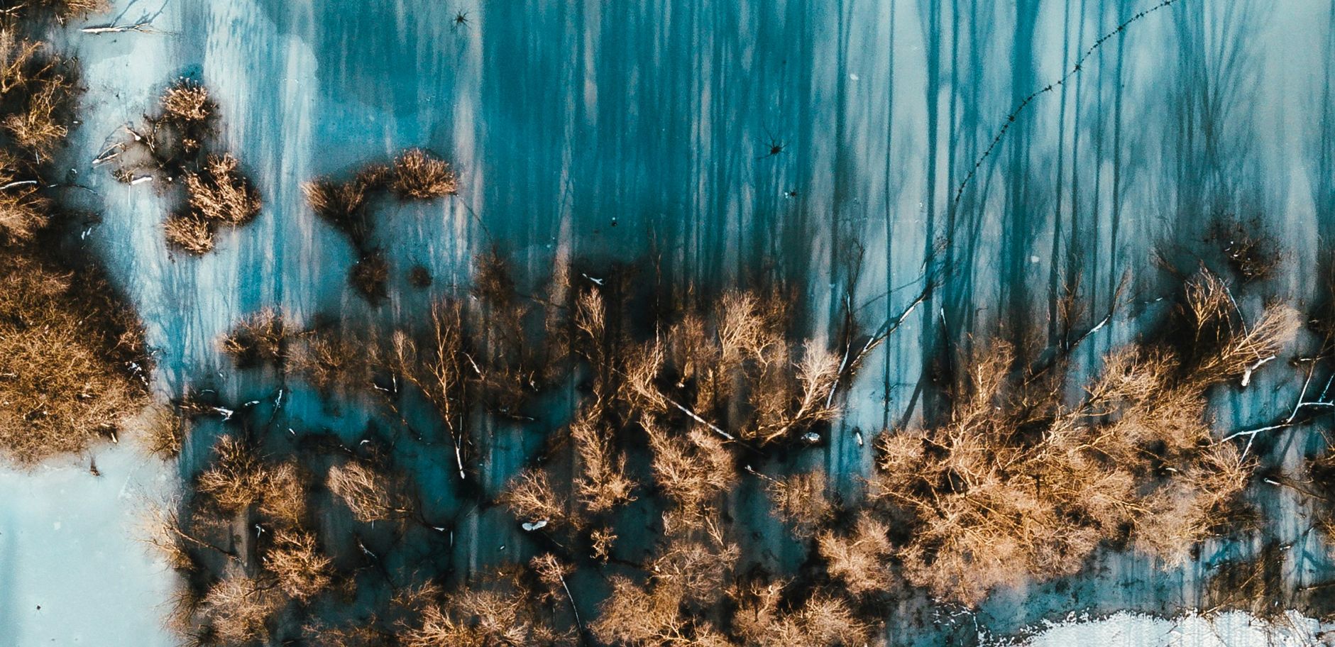 Your Portfolio Review Can't Compare AI Reports Built Three Different Ways